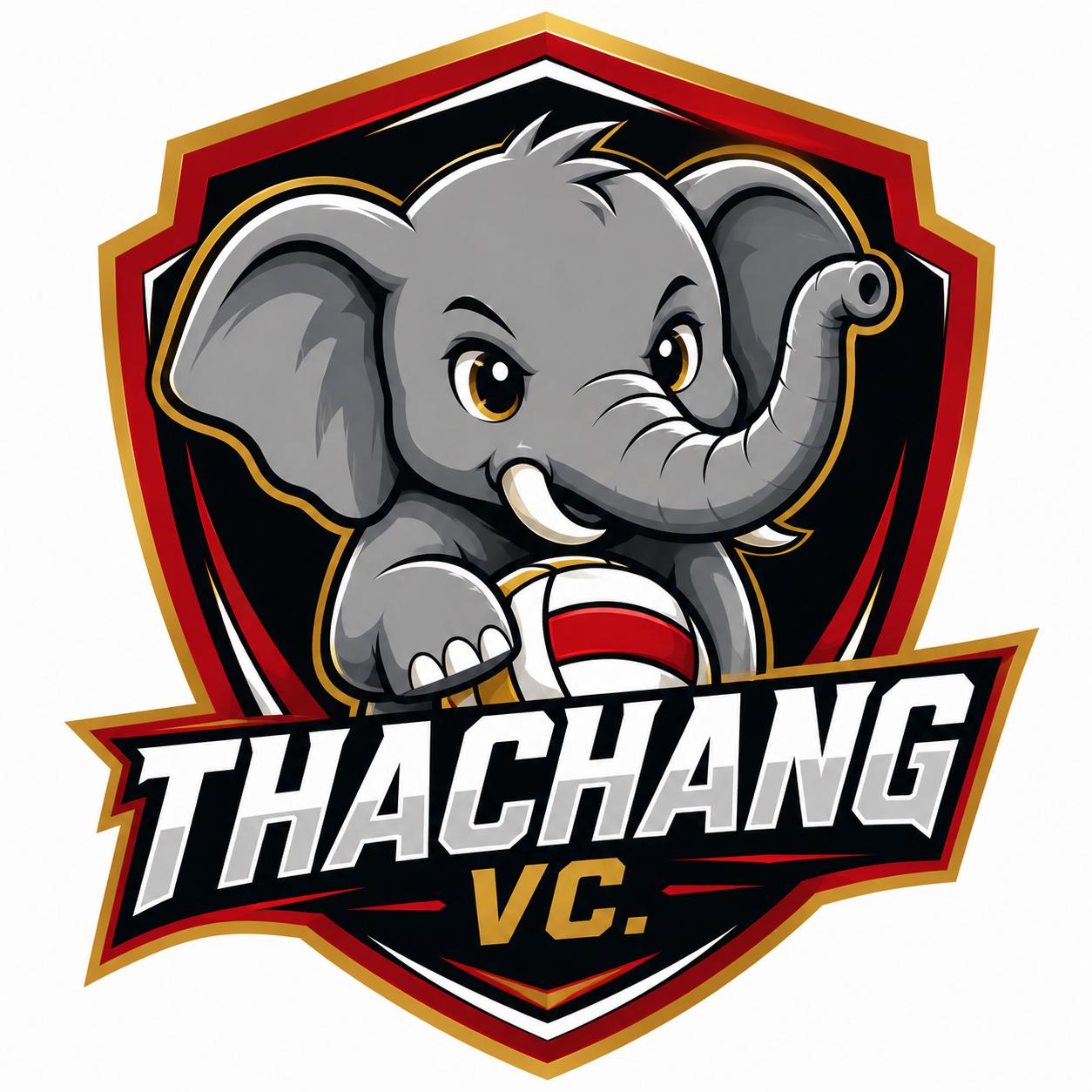 โลโก้ทีมโรงเรียนบ้านท่าช้าง VC